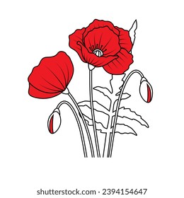 red poppy flower vector drawing