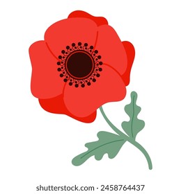 Red poppy flower. Vector illustration.