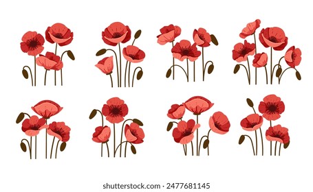 Red poppy flower vector illustration set with a simple design, isolated on a white background