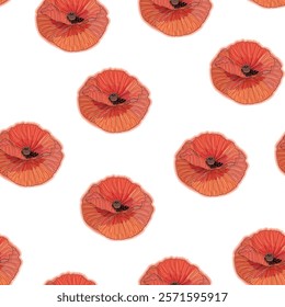 Red poppy flower watercolor and graphic illustrations vector seamless patterns. Red petals black stamens poppy flowers