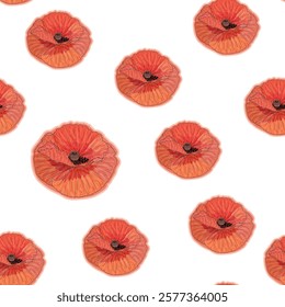 Red poppy flower watercolor and graphic illustrations vector seamless patterns. Red petals black stamens poppy flowers