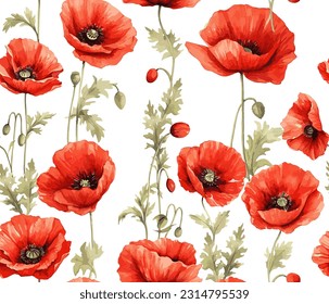 Red poppy flower watercolor illustration vector seamless patterns. Red petals black stamens poppy flowers isolated on white. Meadow wild blossom set, field blooming plants. Green buds and leaves