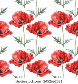 Red poppy flower watercolor illustration vector seamless patterns. Red petals black stamens poppy flowers isolated on white. Meadow wild blossom set, field blooming plants. Green buds and leaves