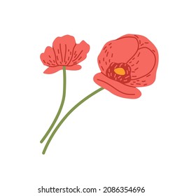 Red poppy flowers. Blossomed papaver composition. Blooms of cut floral plant. Pretty gentle summer buds with petals and stalks. Colored flat vector illustration isolated on white background