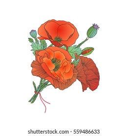 Red poppy flowers bouquet on white background