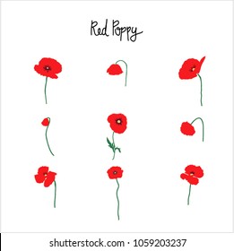 Red poppy flowers clipart with green cable and red petals