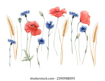 Flores rojas de amapola, flores de maíz y orejas de trigo. Ilustración vectorial en un estilo de acuarela. Un ramo de flores colocado en una bonita pancarta horizontal floral