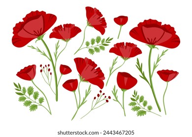 Flores de amapola roja. Flor silvestre de campo en estilo plano. Amapolas rojas aisladas sobre un fondo blanco. Ilustración vectorial.