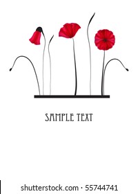 Red poppy flowers. Vector card.