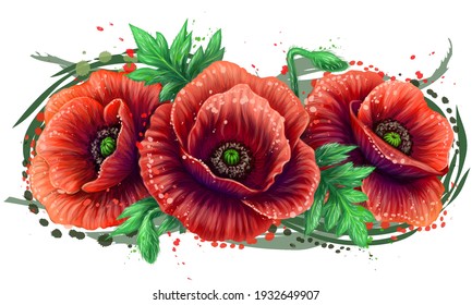 Red poppy. Graphic, color, vector drawing of a poppy in watercolor style on a white background. Digital vector graphics. Individual layers