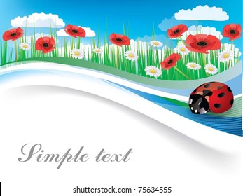 red poppy with ladybugs