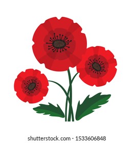 Red poppy with leaves isolated on white background. Remembrance Day  or Azur Day vector illustration. Design element for poster, banner, leaflet or sticker.