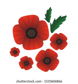Red poppy with leaves isolated on white background. Remembrance Day or Azur day vector illustration. Design element for poster, banner, leaflet or sticker.
