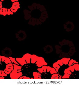 Red poppy on the black background