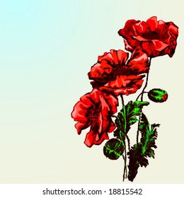 red poppy symbol