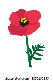 Red poppy vector illustration