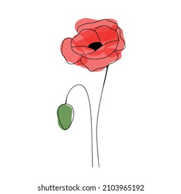 Red Poppy. Vector Illustration. Line Art.