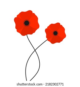 Red Poppy Vector. red poppies flowers growing isolated on white background. Vector illustration.