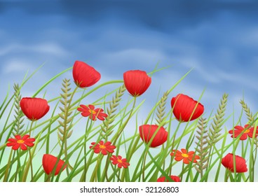 Red poppy-flowers and daisies on summer meadow (vector image)