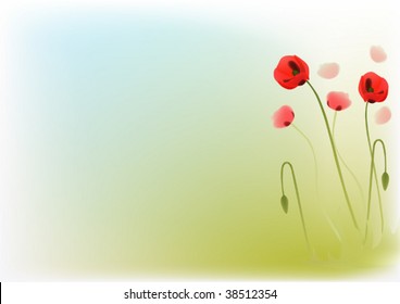 Red poppys
