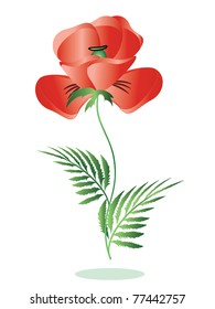 Red poppy,symbol memory,vector.