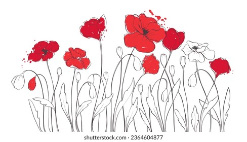 Red popy flowers. Outline drawing with colorful splash elements, freehand drawing. Vector illustration, summer background, flower meadow.	