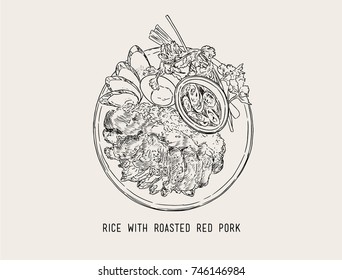 red pork , boiled egg and Rice ,rice with roasted pork, thai food with Popular food Thai people have delicious sweet taste.hand draw vector.