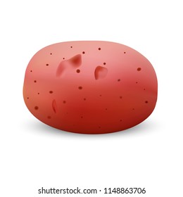 Red potato mockup. Realistic illustration of red potato vector mockup for web design isolated on white background