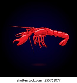 Red prepared lobster on black background