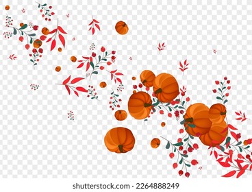 Red Pumpkin Background Transparent Vector. Yellow Vintage Border. Gold Vegetable Abstract Template. Gourd Wreath. Picking Set.