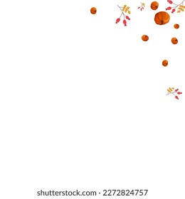 Red Pumpkin Background White Vector. Plant Floral. Yellow Picking Illustration. Thanksgiving Border. Burgundy Gourd Cozy Template.