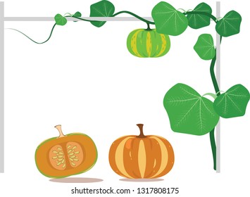 The Red Pumpkin Garden and Sliced