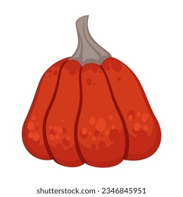 Red pumpkin or squash on white background. Autumn harvesting and seasonal vegetables cartoon illustration. Autumn of fall concept