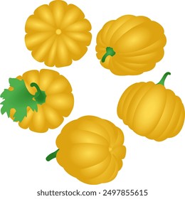 Red pumpkins from different angles. Vector illustration