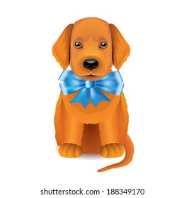 Red puppy with blue bow isolated vector illustration