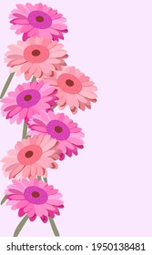 Red and purple gerberas on background