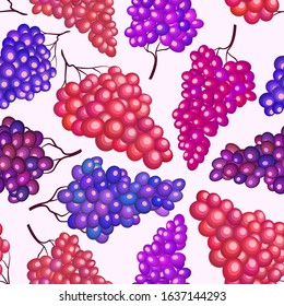 Red purple grape branches vector seamless pattern. Wine fruit, grape vine stylized textile print design. Fresh juicy vegetarian organic food. Summer fluit pattern. 