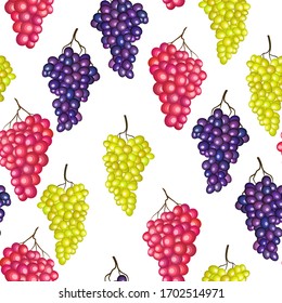 Red purple green grape branches vector seamless pattern. Wine fruit, grape vine stylized textile print design. Fresh juicy vegetarian organic food. Summer fluit pattern. 