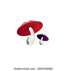 red and purple mushroom vector whit white background