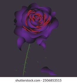 Red and purple mystical rose on a gloomy background, flat style