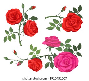 Red and purple roses set. Flowers, plants with rosebuds, branches with green leaves isolated on white. Vector illustration for decoration, florist job, floral shop, spring concept