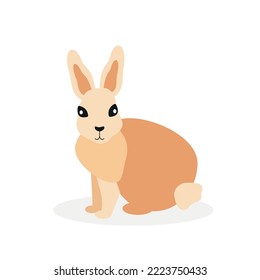 Red rabbit, forest hare - illustration