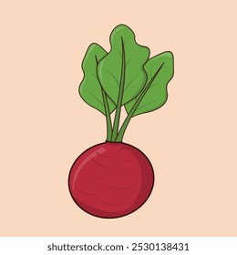 Rábano rojo remolacha vegetal alimento saludable icono Ilustración vectorial 