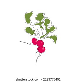 Red radish bundle in continuous line art drawing style. Minimalist black one line sketch with color spots isolated on white background. Fresh food vegan concept design. Hand drawn vector illustration.
