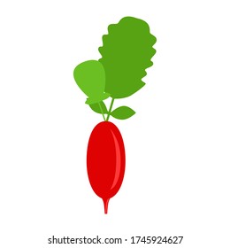 Red radish with green tops. Vector flat illustration about a healthy lifestyle.
