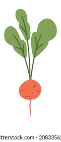 Red radish with leaves. Spring salad vegetable icon