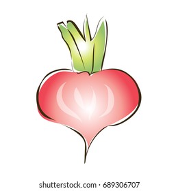 Red radish, turnip or other root vegetables. Vector sketch illustration, isolated on white background.