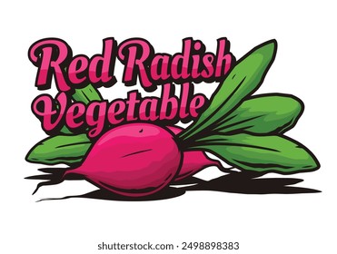 Diseño de Vector vegetal de rábano rojo