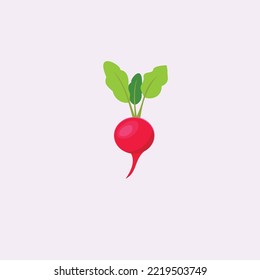 Red Radish whit green illustration Vegetable white Background