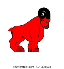 Red ram isolated. Horned sheep. Farm animal 
